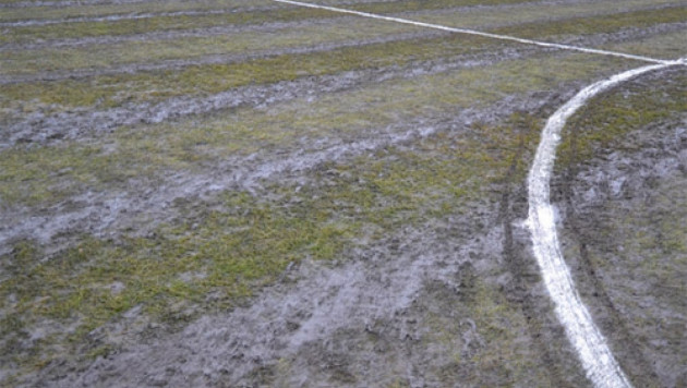 Беранек: Из-за качества газона не удалось показать техничный футбол