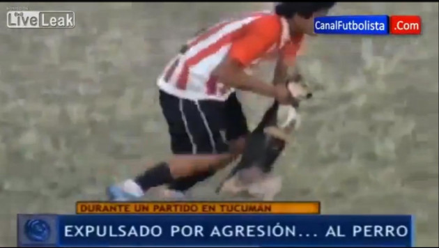 Футболист получил красную карточку за грубое обращение с собакой на поле (+видео)