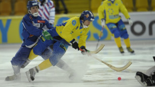 Хоккеисты Казахстана и Финляндии. Фото РИА Новости, Григорий Сысоев
