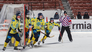 Хоккеисты сборной Казахстана. Фото с официального сайта чемпионата мира 2014