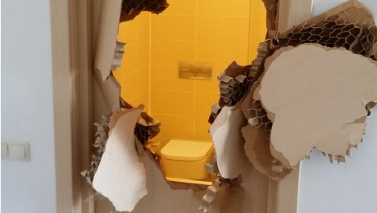 Олимпиада в Сочи: Американский бобслеист Джонни Куинн выломал дверь душевой комнаты
