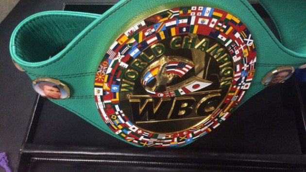 Бой за пояс чемпиона мира WBC Головкину придется ждать около года