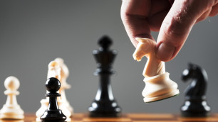 В Федерации шахмат опровергли информацию о приостановлении деятельности
