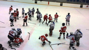 В Казани 8-летние хоккеисты устроили массовую драку на льду