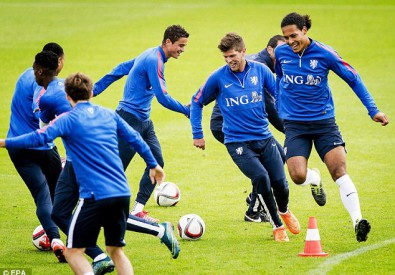 Тренировка сборной Голландии. Фото с сайта mirror.co.uk