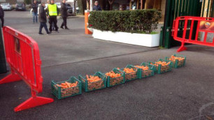 Фанаты "Ромы" пришли на тренировку с морковью и плакатом "Приятного аппетита, кролики"