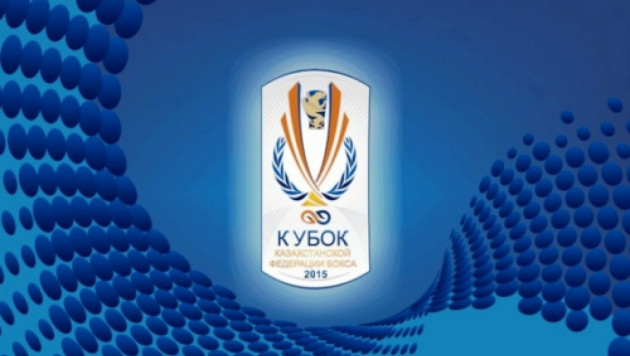 Боксеры из Южного Казахстана выиграли Кубок КФБ-2015