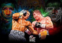 Коллаж wbcboxing.com