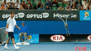 Цапля оказалась на корте во время матча на Australian Open