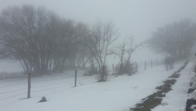 "Королевский этап" велогонки "Тиррено-Адриатико" отменен из-за снега