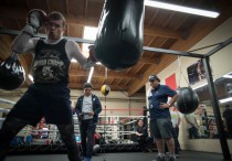 Сауль "Канело" Альварес. Фото с сайта boxingscene.com