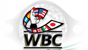 WBC исключит боксеров из рейтинга за отказ вступить в программу "Чистый бокс"