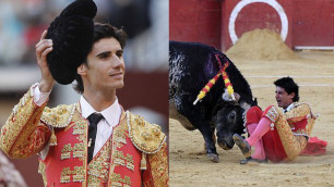 В Испании бык убил 29-летнего матадора в прямом эфире