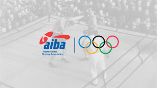 AIBA утвердила реформы чемпионатов мира по боксу и судейству
