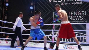 Казахстанский боксер Ельжанов одержал третью досрочную победу в четырех боях на профи-ринге