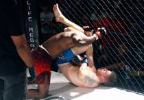 Фото: mmafighting.com