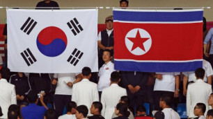 КНДР и Южная Корея сформируют единую команду по хоккею на Олимпиаде-2018 
