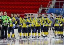 Фото с сайта bandy-vm2018.ru