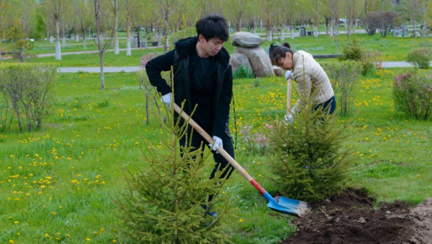 Казахстанские призеры Игр в Сочи-2014 и Рио-2016 посадили именные деревья в Астане