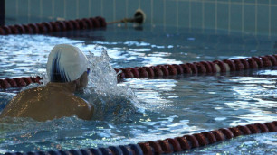 Стали известны победители и призеры Кубка Казахстана по плаванию в Алматы