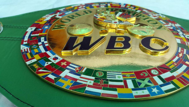 WBC попросил МОК сохранить бокс в программе Олимпийских игр