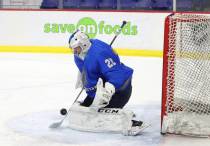 Фото с сайта icehockey.kz