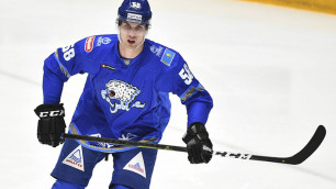 Шведский защитник с опытом игры в НХЛ ответил на вопрос о выступлении за сборную Казахстана