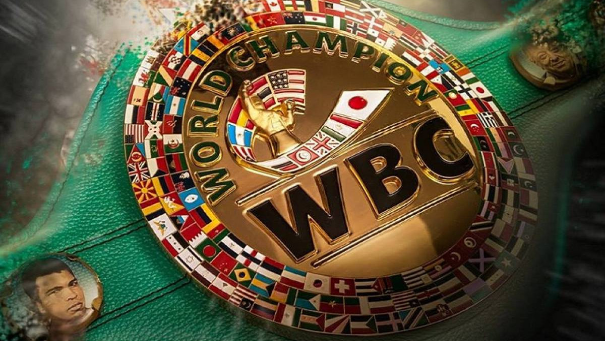 WBC начал проверять судей на наркотики