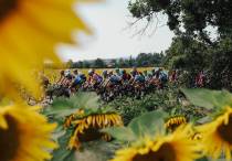 Участники "Тур де Франс". Фото: велокоманда "Астана"