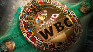 WBC внедрил санкции для профи-боксеров за участие в Олимпиаде