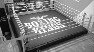 Фото: boxingkings.ch