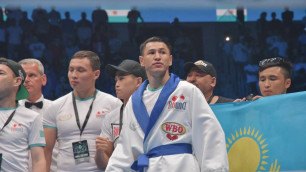 Обладатель титула из Казахстана исключен из рейтинга WBO