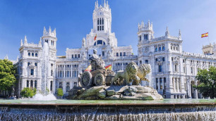 В Мадриде рекомендовали отменить проходящий перед Кубком Дэвиса теннисный турнир
