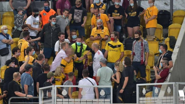 Футболист "Гамбурга" пробрался на трибуну и напал на фаната