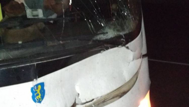 Автобус с белорусской футбольной командой сбил лося