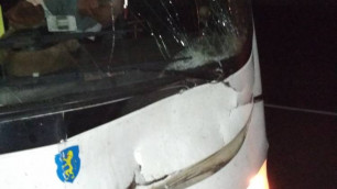 Автобус с белорусской футбольной командой сбил лося