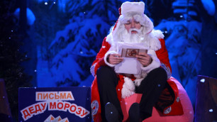 Дед Мороз пикетировал минобороны с требованием тепла