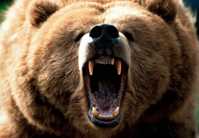 Фото с сайта firstpeople.us