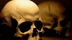 Житель Нижнего Новгорода коллекционировал скелеты людей