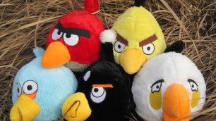Птичка из Angry Birds известила летящий на МКС экипаж о невесомости