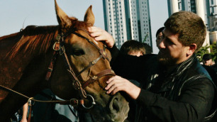 "МК" подсчитал затраты Кадырова на содержание элитных скакунов