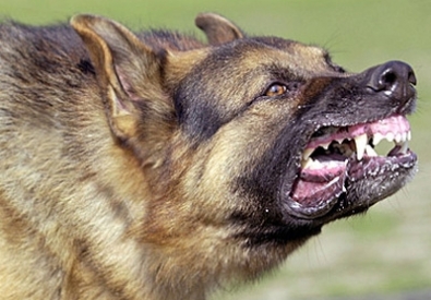 Фото с сайта newsru.co.il