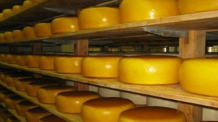 Россия ввела запрет на ввоз сыра из Украины