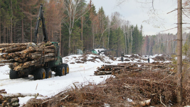 В Подмосковье избили эколога-защитника Химкинского леса
