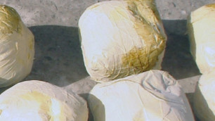 Полиция Венесуэлы изъяла более трех тонн кокаина