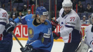 В Финляндии болельщики потребовали снизить цены на матчи ЧМ-2012 по хоккею