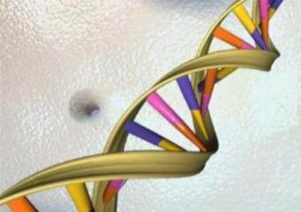 Ученые выявили ген заболевания аутизмом
