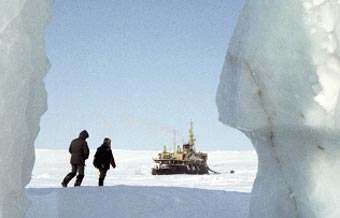Россия отказалась размещать войска в Арктике