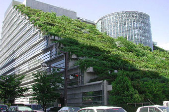 Шведские ученые предложили озеленить крыши