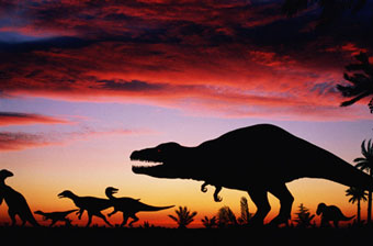 Динозавры вымерли из-за резкого понижения температуры 